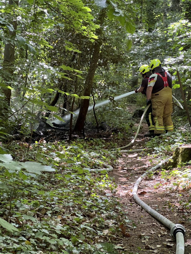Feuerwehr im Einsatz: Vegetationsbrand
